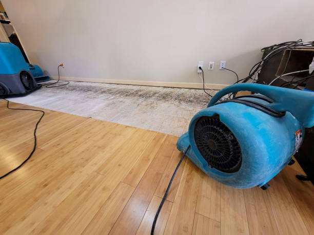 Professional Water Removal technician working in Portsmouth, VA
